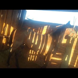 Meet your Posher, Gerardo